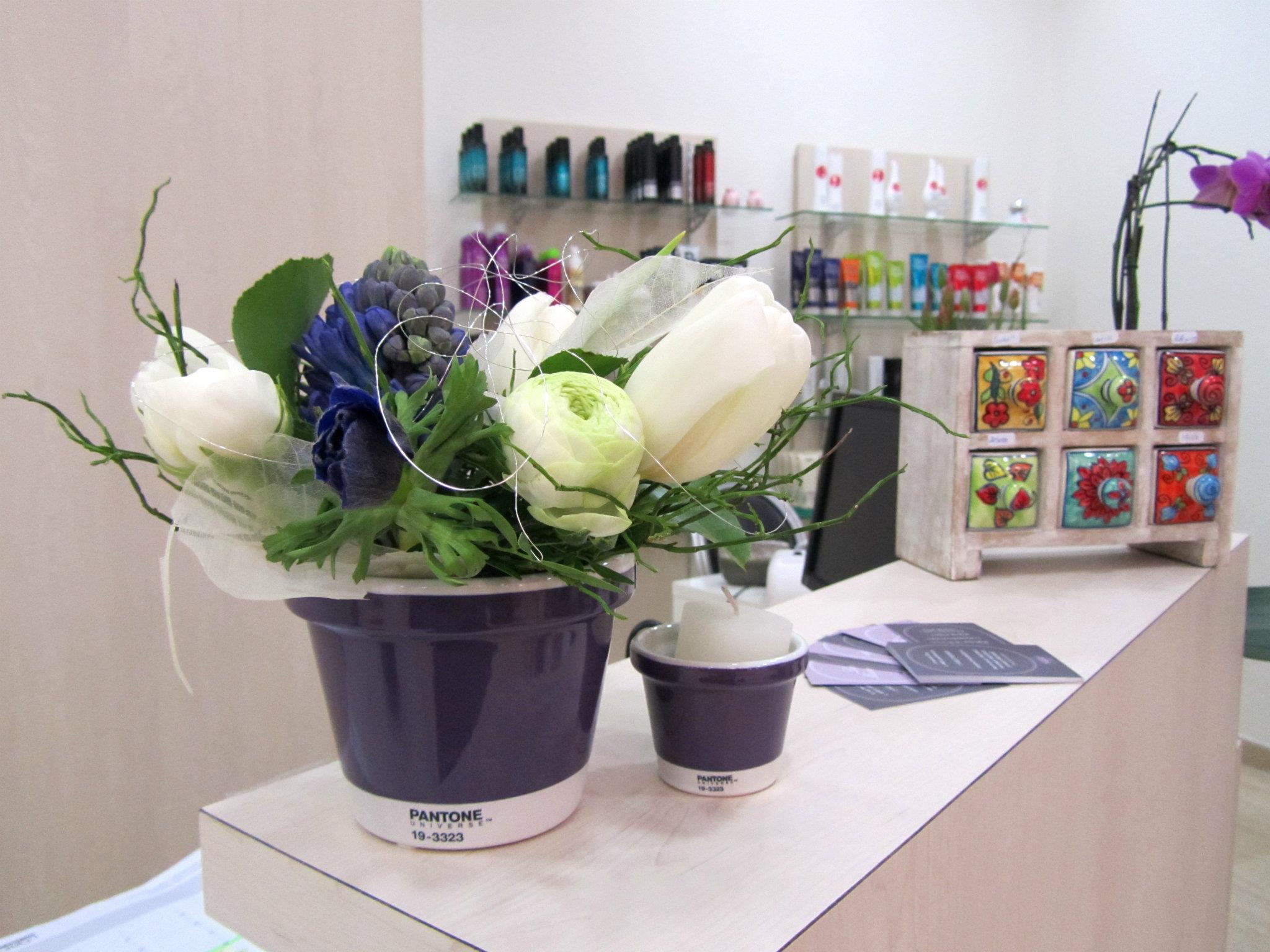 Agencement du salon Lady marmalade (Luxembourg)